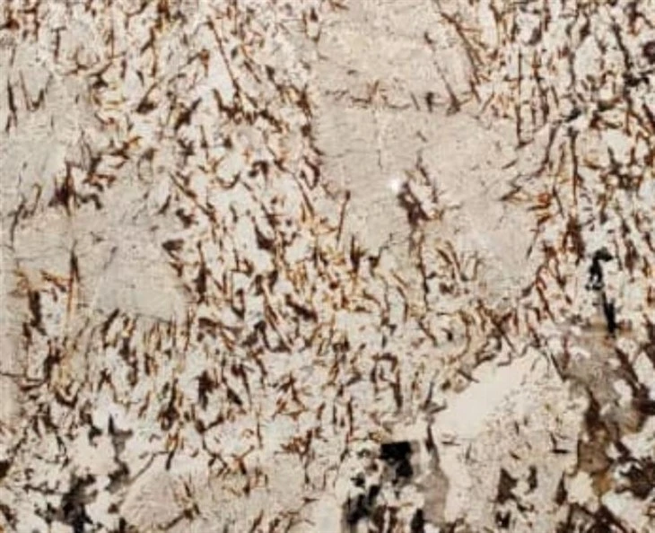Blanc Du Blanc Granite