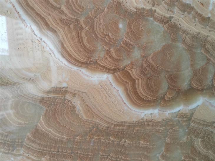 Natirèl Peacock jòn mab dal